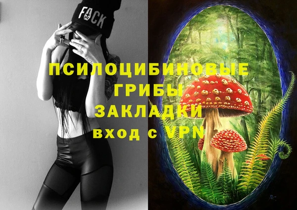 Альфа ПВП Михайловск