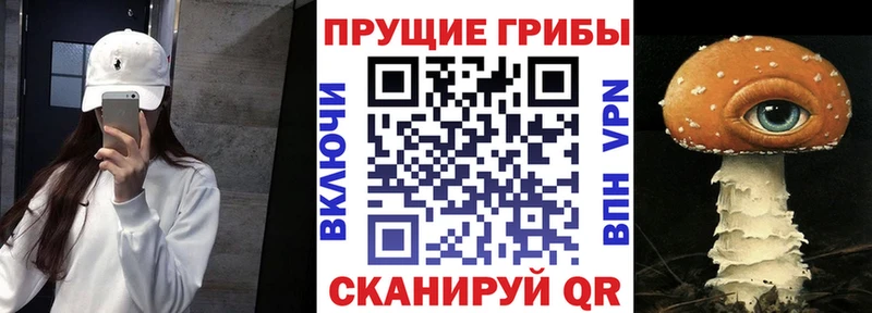купить  сайты  Октябрьск  Псилоцибиновые грибы ЛСД 
